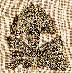 blackwork thumbnail